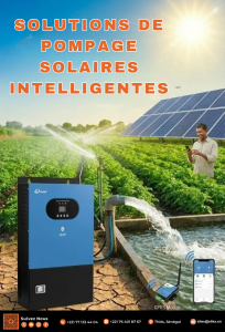Pompe Solaire Immergée et Surface Sénégal : Prix, Marques, Dimensionnement