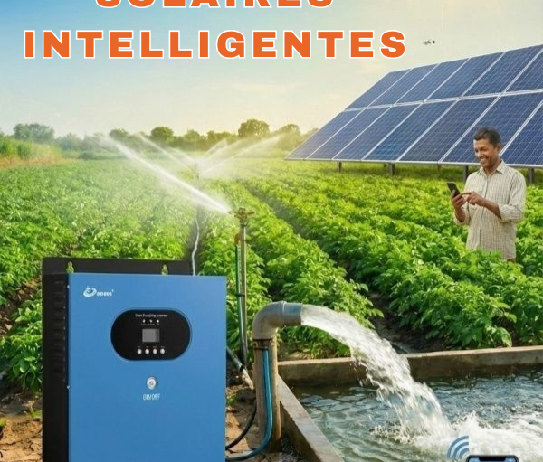 Pompage Eau Solaire Senegal Dakar Piscine Irrigation Ferme Agricole