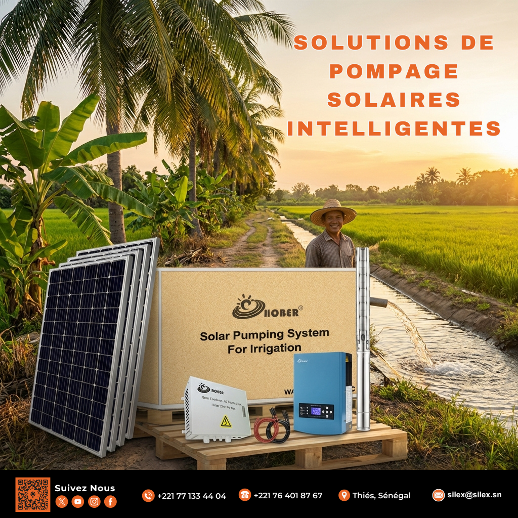 Pompage Eau Solaire Senegal Dakar Piscine Irrigation Ferme Agricole
